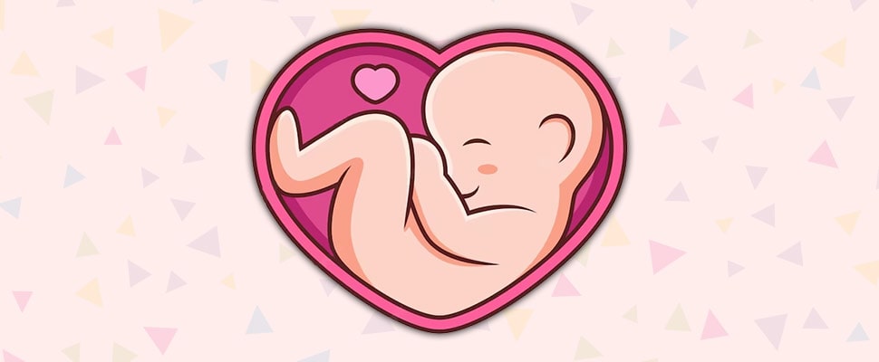 عدم تشکیل قلب جنین به چه دلیل رخ می دهد؟